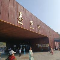 評論圖片 1