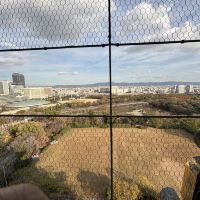 評論圖片 2
