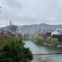 評論圖片 2