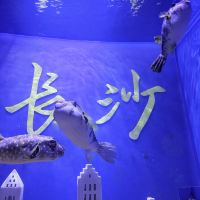 評論圖片 1