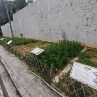 評論圖片 3