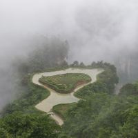 評論圖片 1