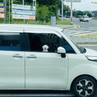 評論圖片 9
