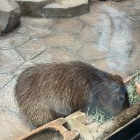 評論圖片 5