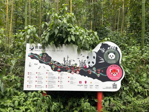 Panda Valley Tickets [2026] - Promos, Prices, Reviews & Opening
