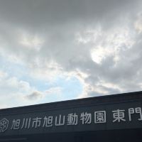 評論圖片 4