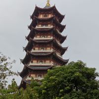 評論圖片 1