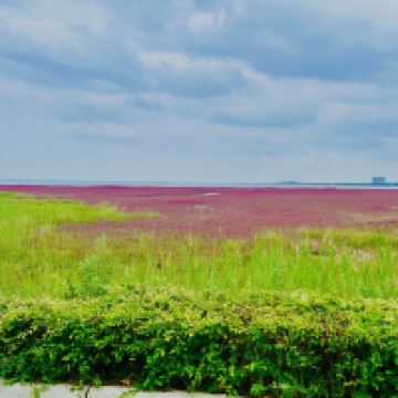 評論圖片 5