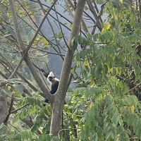 評論圖片 4
