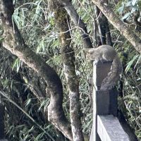 評論圖片 9
