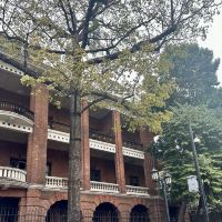 評論圖片 2