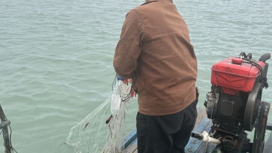 天气原因，阴天多云，出海不到一个小时，渔民捕获了十几条小鱼，