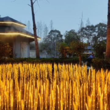 評論圖片 1