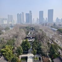 評論圖片 6