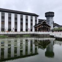 評論圖片 6
