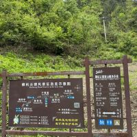 評論圖片 5