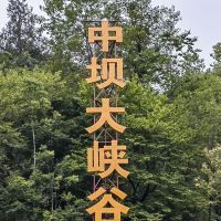 評論圖片 1