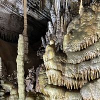 評論圖片 4
