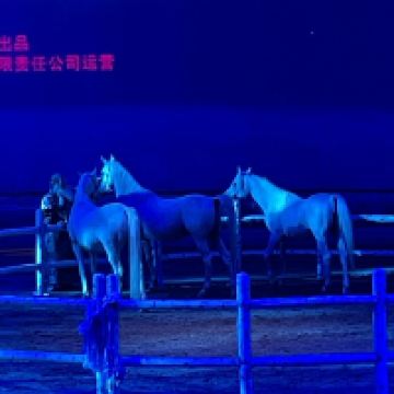 評論圖片 8