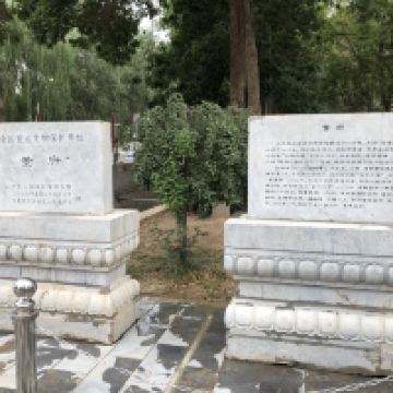 評論圖片 2