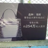 評論圖片 3