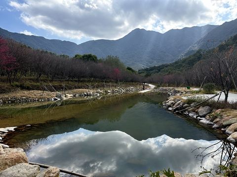 Lingshi (Spirit Rock) Mountain National Forest Park