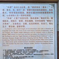 評論圖片 7