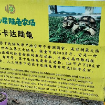 評論圖片 4