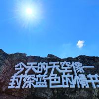 評論圖片 9