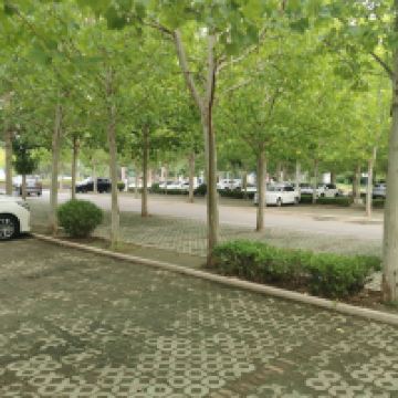 評論圖片 8