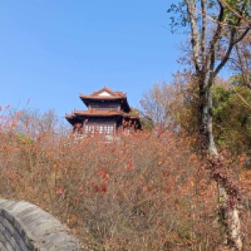 評論圖片 3