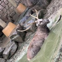 評論圖片 5