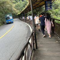 評論圖片 1