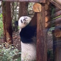 評論圖片 8