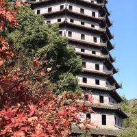 評論圖片 5