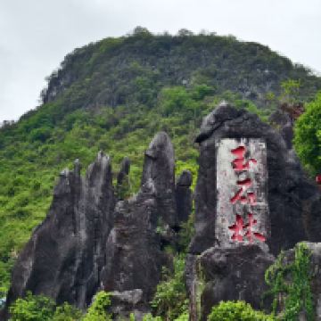 評論圖片 1