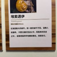 評論圖片 5