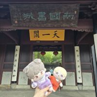 評論圖片 9