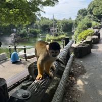 評論圖片 6