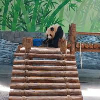 評論圖片 6