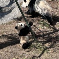 評論圖片 3