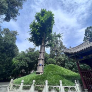 評論圖片 8