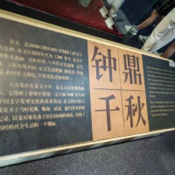 評論圖片 5