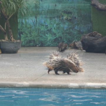 評論圖片 9