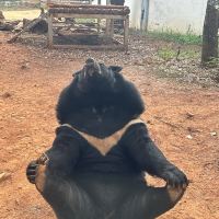 評論圖片 5