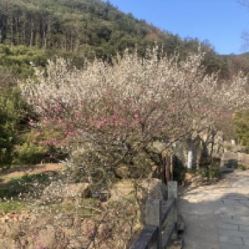 評論圖片 9