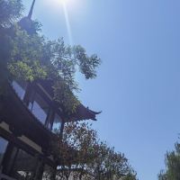 評論圖片 7