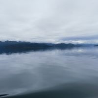 評論圖片 1