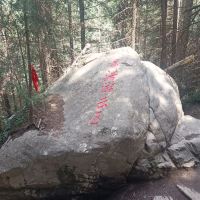 評論圖片 9