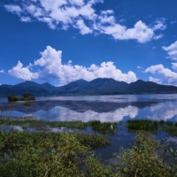 評論圖片 7